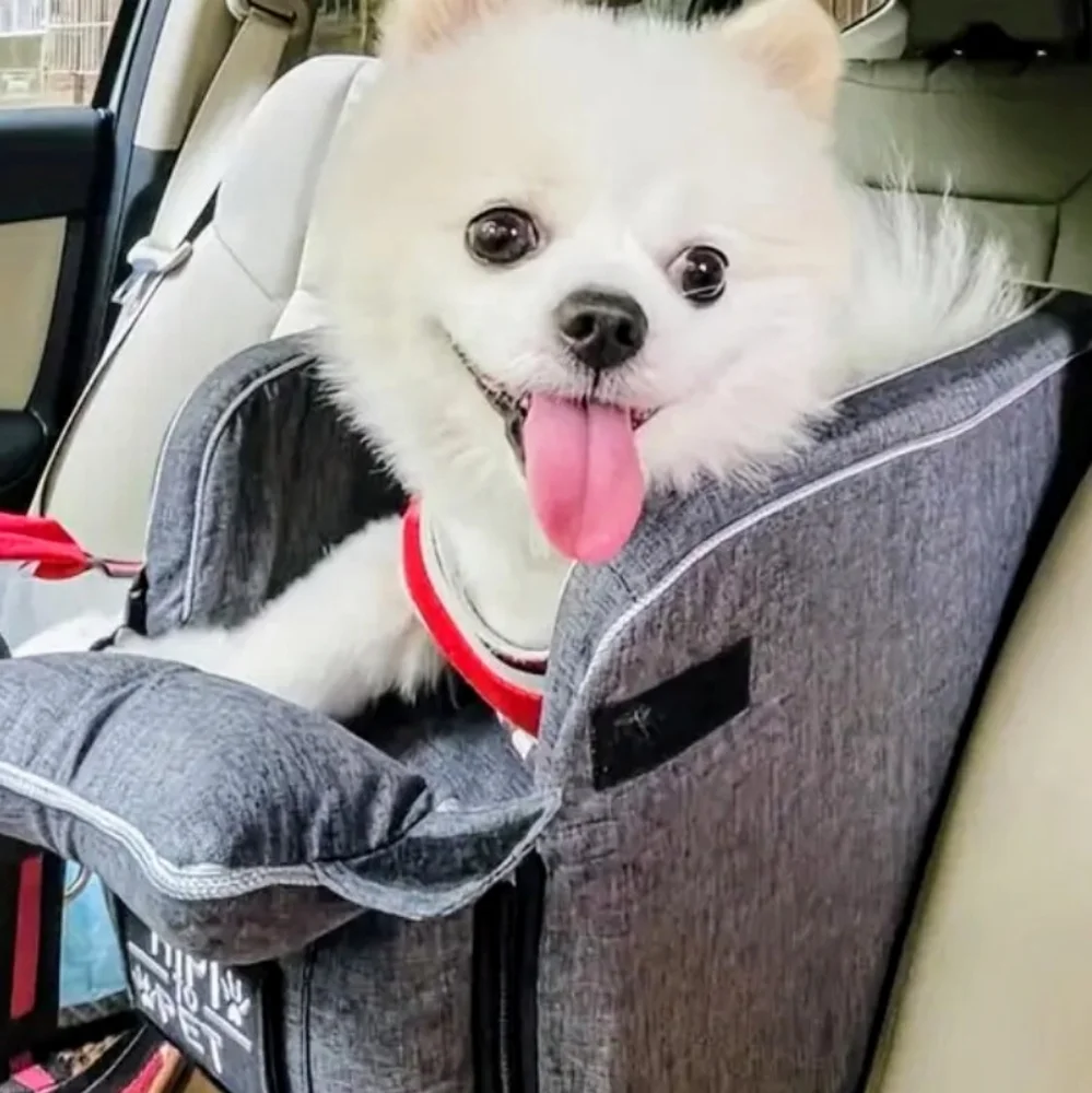 LITTLE FAMILY MEMBER CAR SEAT! NEW WOT
